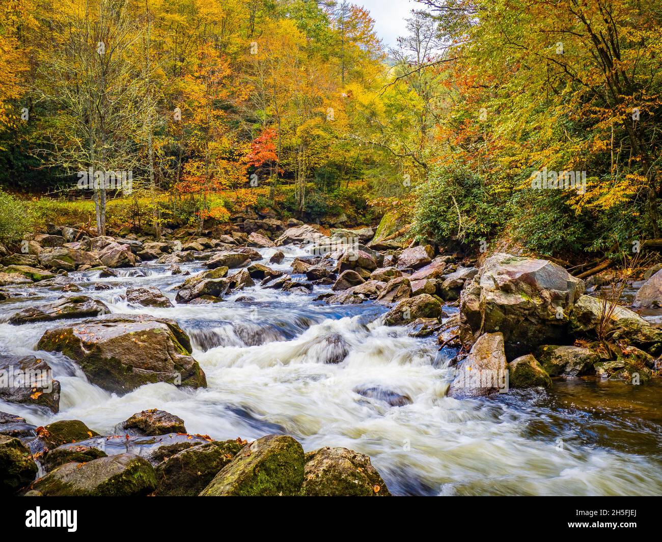 Fall color around small waterfals in the Cullasaja River in Nantahala