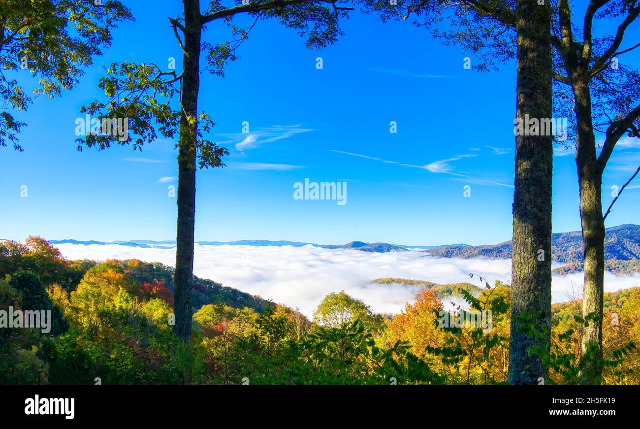 Clouds in the valley from Newfound Gap Road in the Great Smoky Mountains National Park in North Carolina Stock Photo