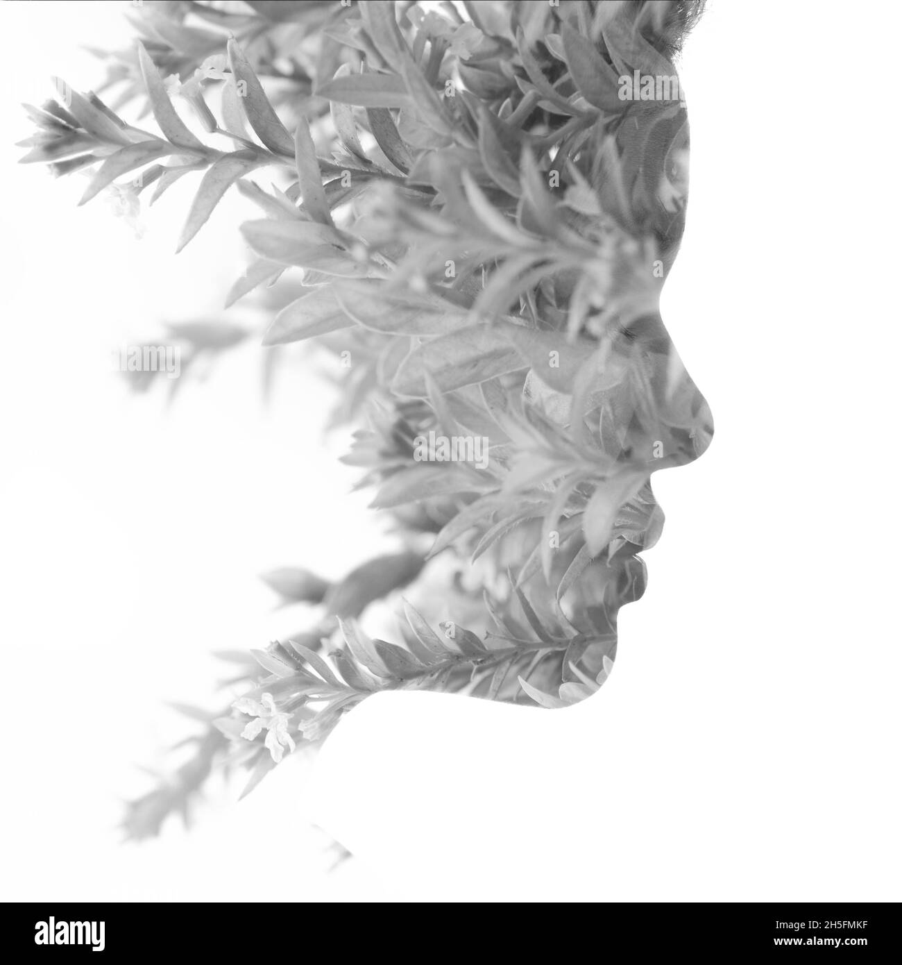 A black and white profile portrait of a woman combined with twigs in a