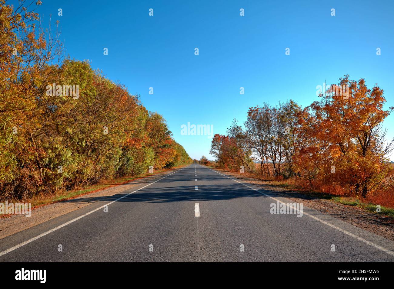 Trees on both sides of highway hi-res stock photography and images - Alamy