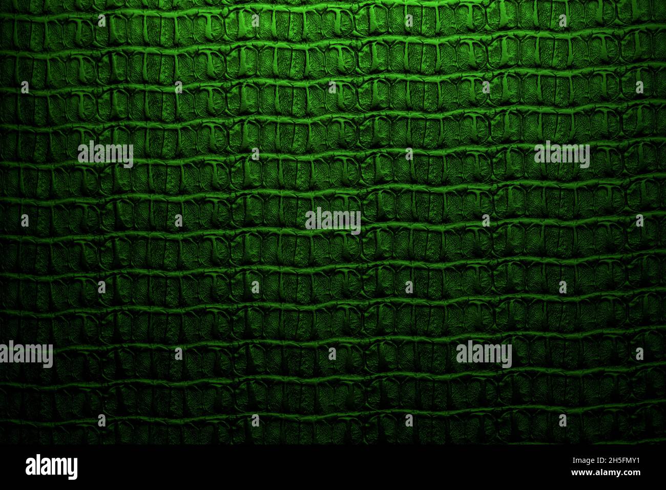 crocodile leather skin texture Stock Photo