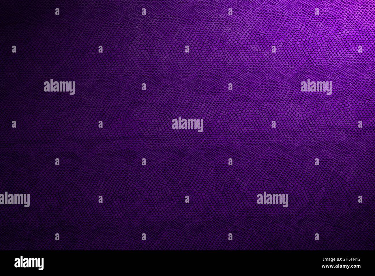 snake skin texture Stock Photo