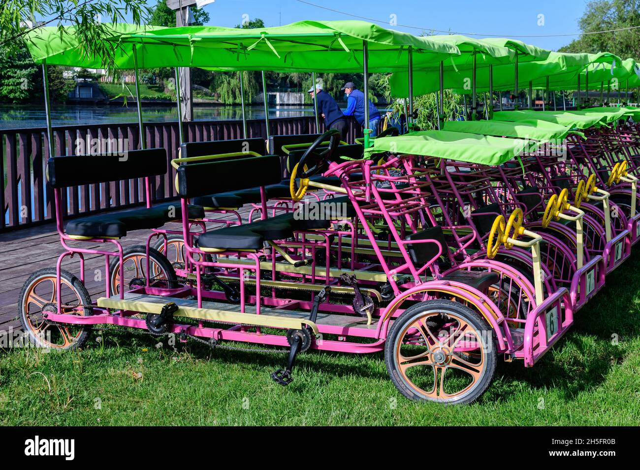 Many colorful double surrey tandem 