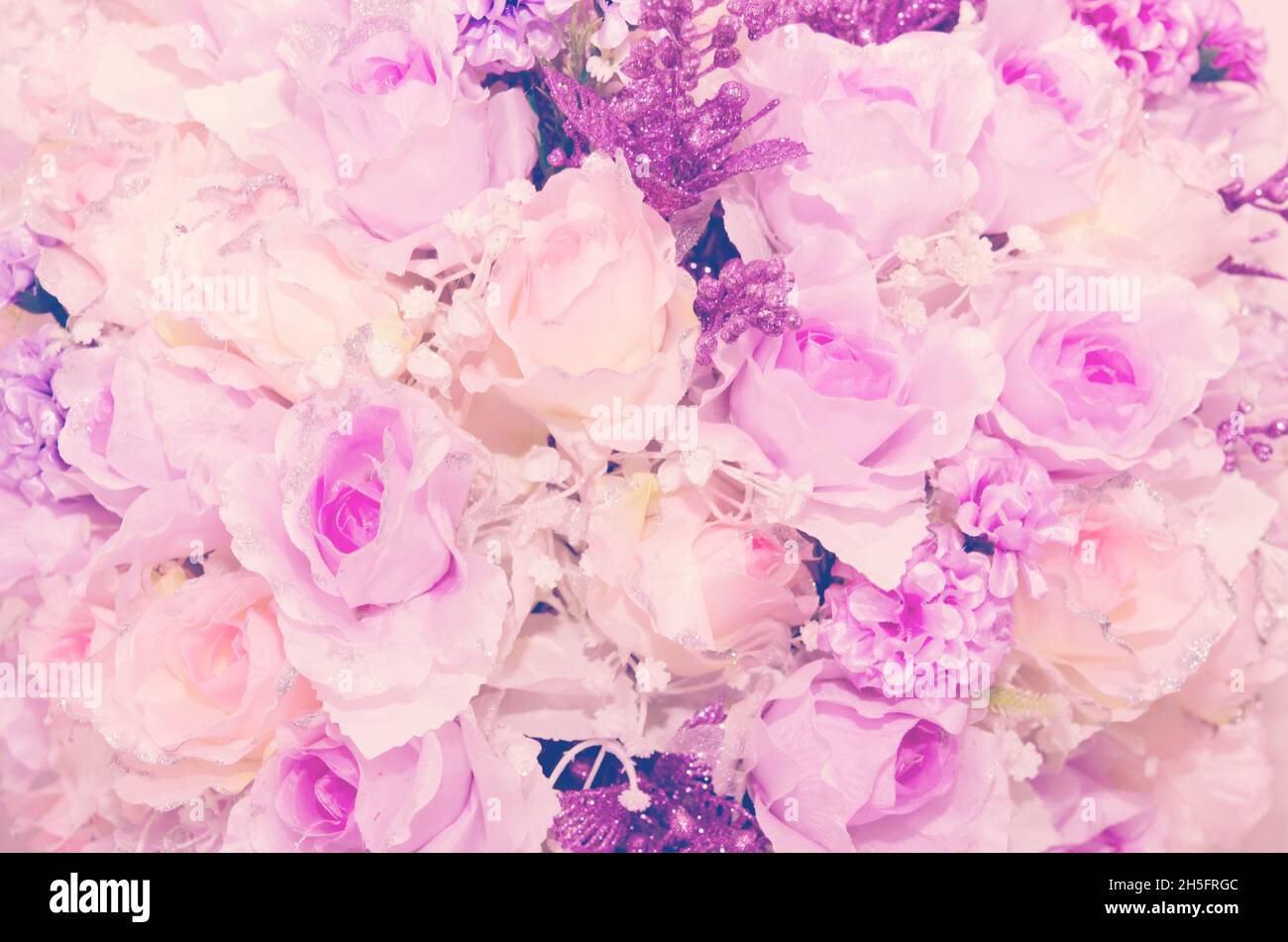 Bright pink roses background Stock Photo - Alamy