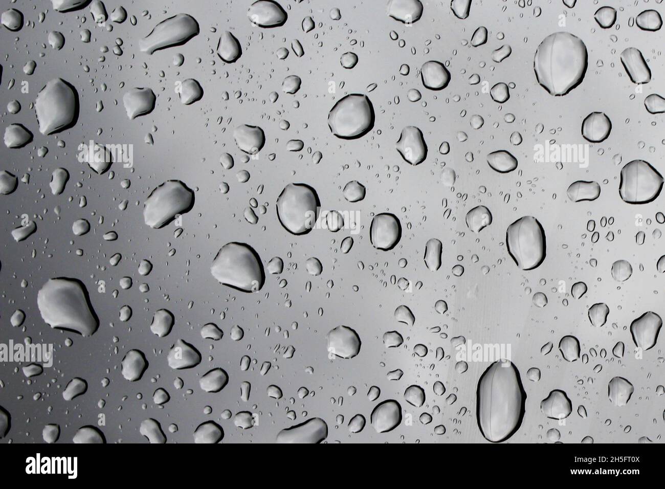 Close Up von Wassertropfen auf dem Panoramafenster (Verbundglas) eines Autos. Stock Photo