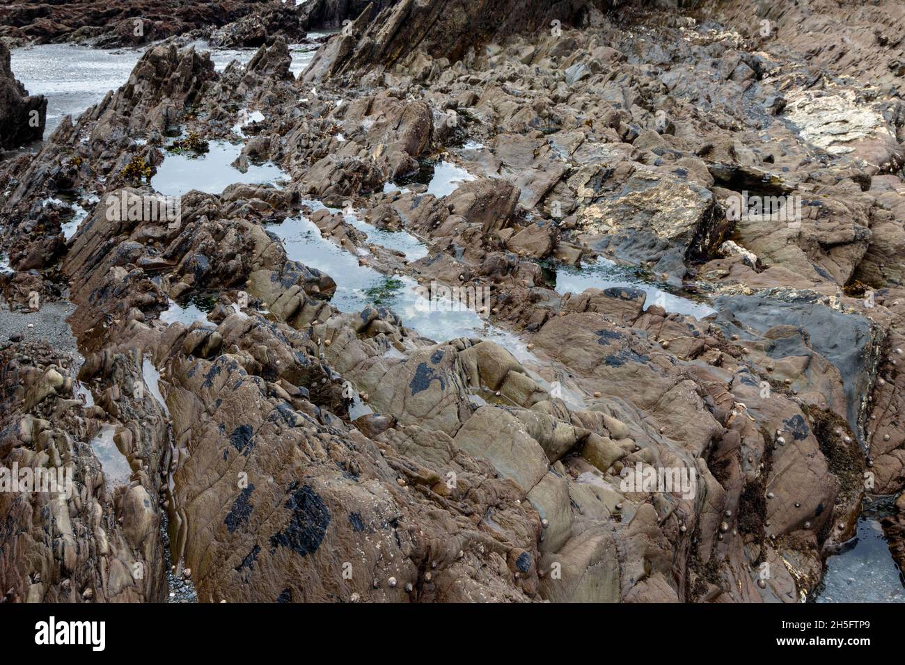 Rock pools on the private Tunnels beach in North Devon Stock