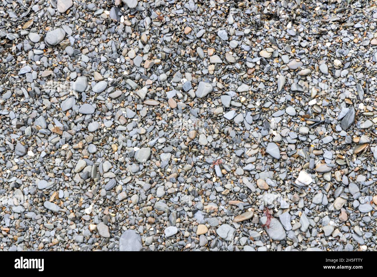 Grey stones on Ilfracombe beach Stock Photo