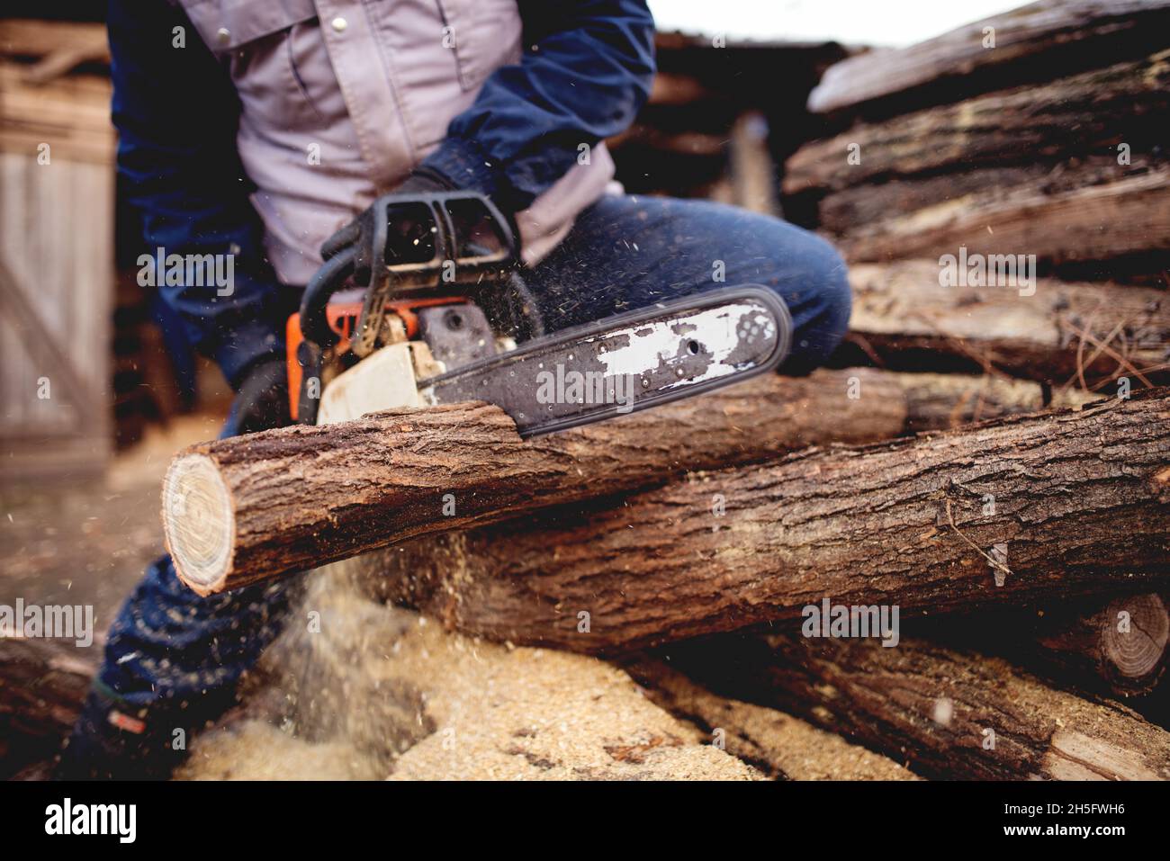 Cutting wood with chainsaw at backyard, lumberjack work profession ...