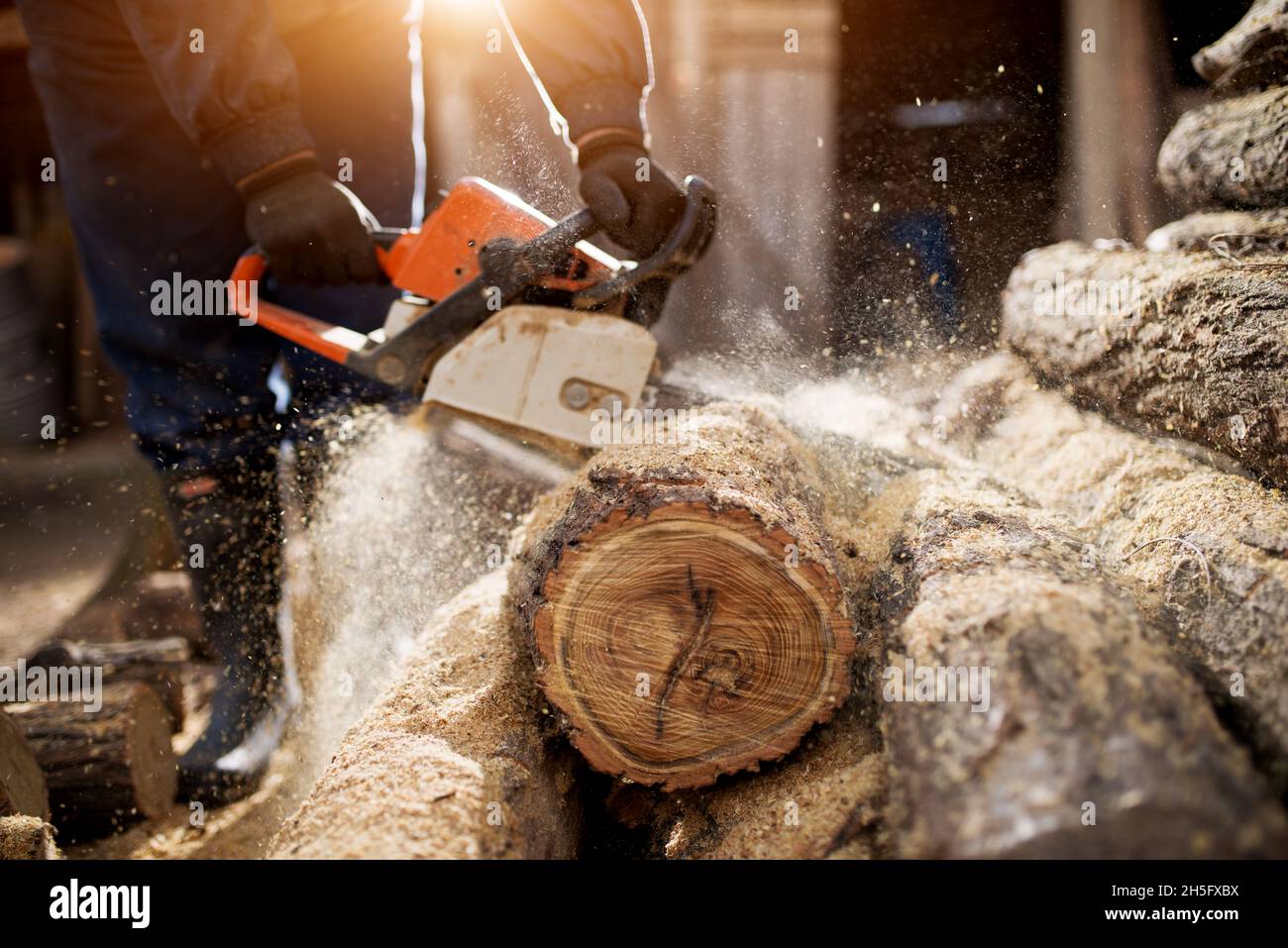 Old man cutting log with chainsaw hi-res stock photography and images ...