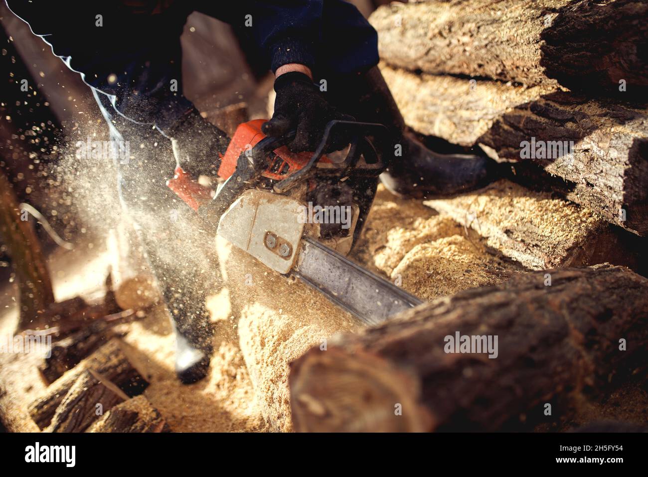Cutting wood chainsaw backyard hi-res stock photography and images - Alamy