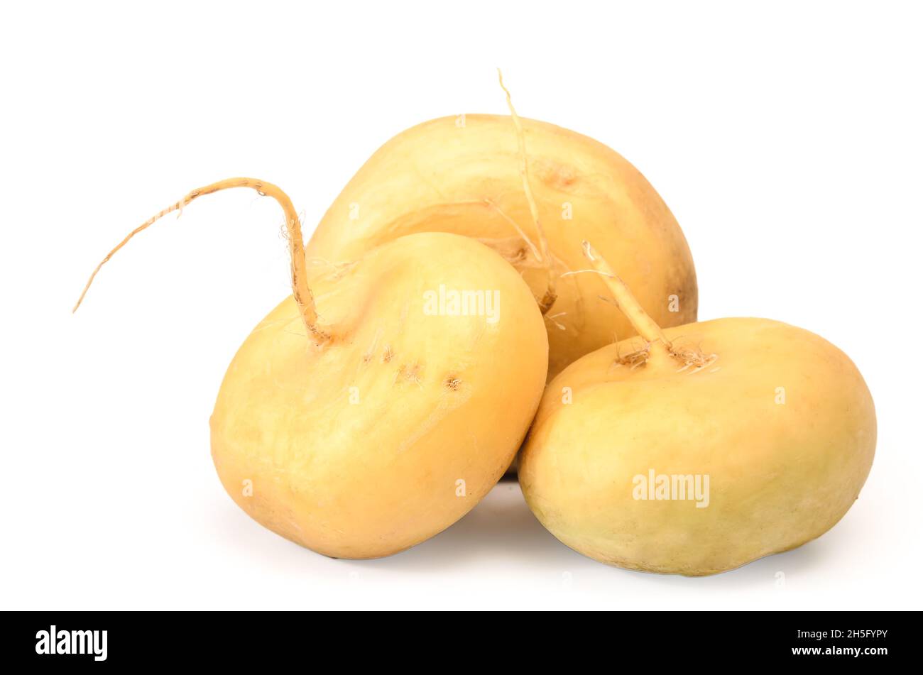 Ripe turnip tubers on white background with soft shadow Stock Photo
