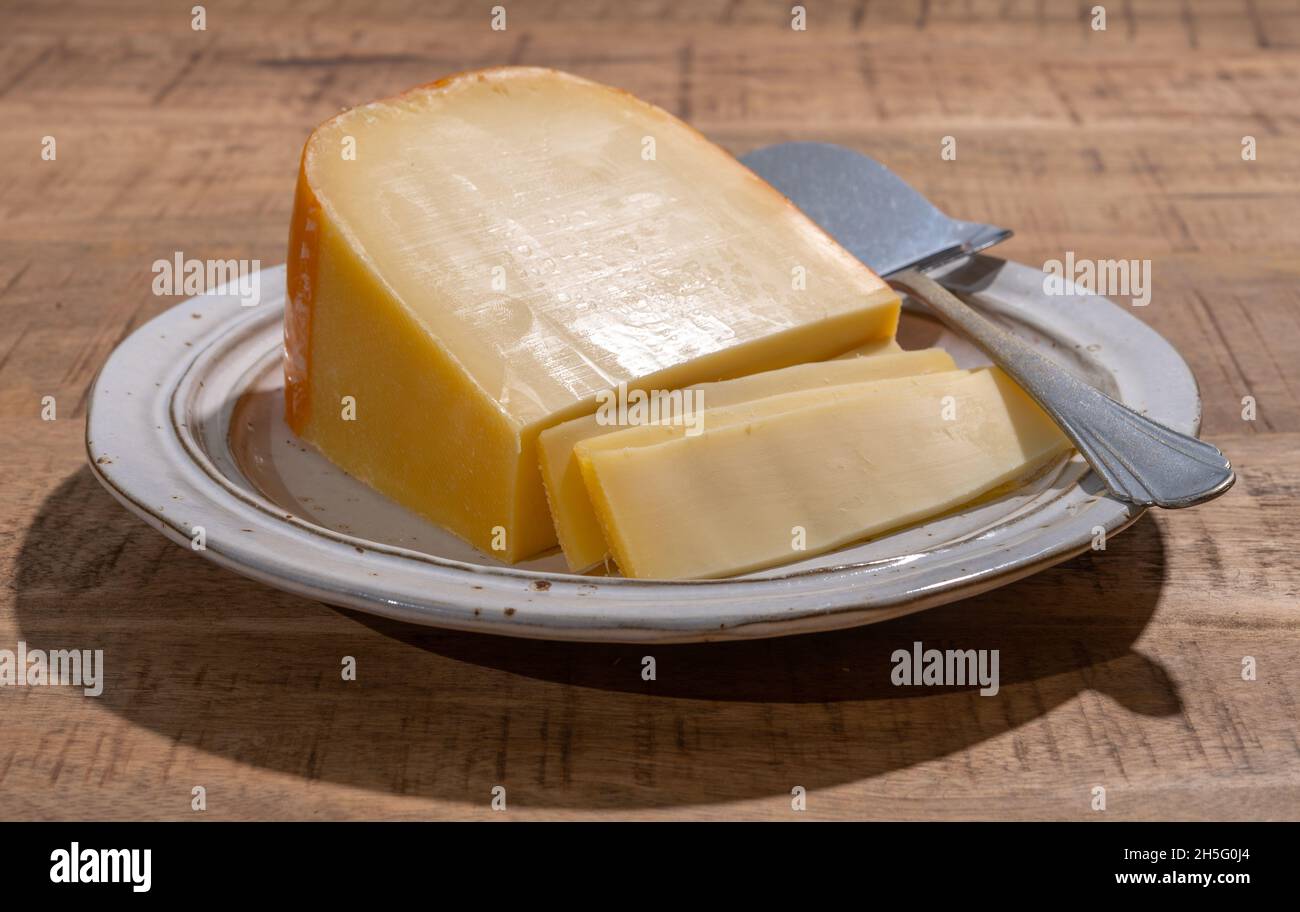 Cheese collection, piece of young Dutch gouda cheese made from cow milk