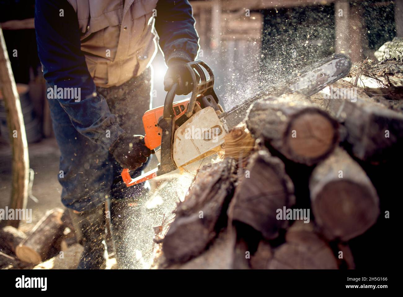 Cutting wood chainsaw backyard hi-res stock photography and images - Alamy