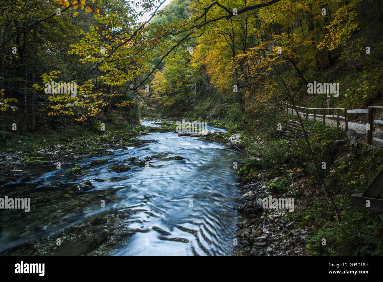 Vintgar Gorge (Soteska Vintgar) in Triglav National Park in Slovenia Stock Photo