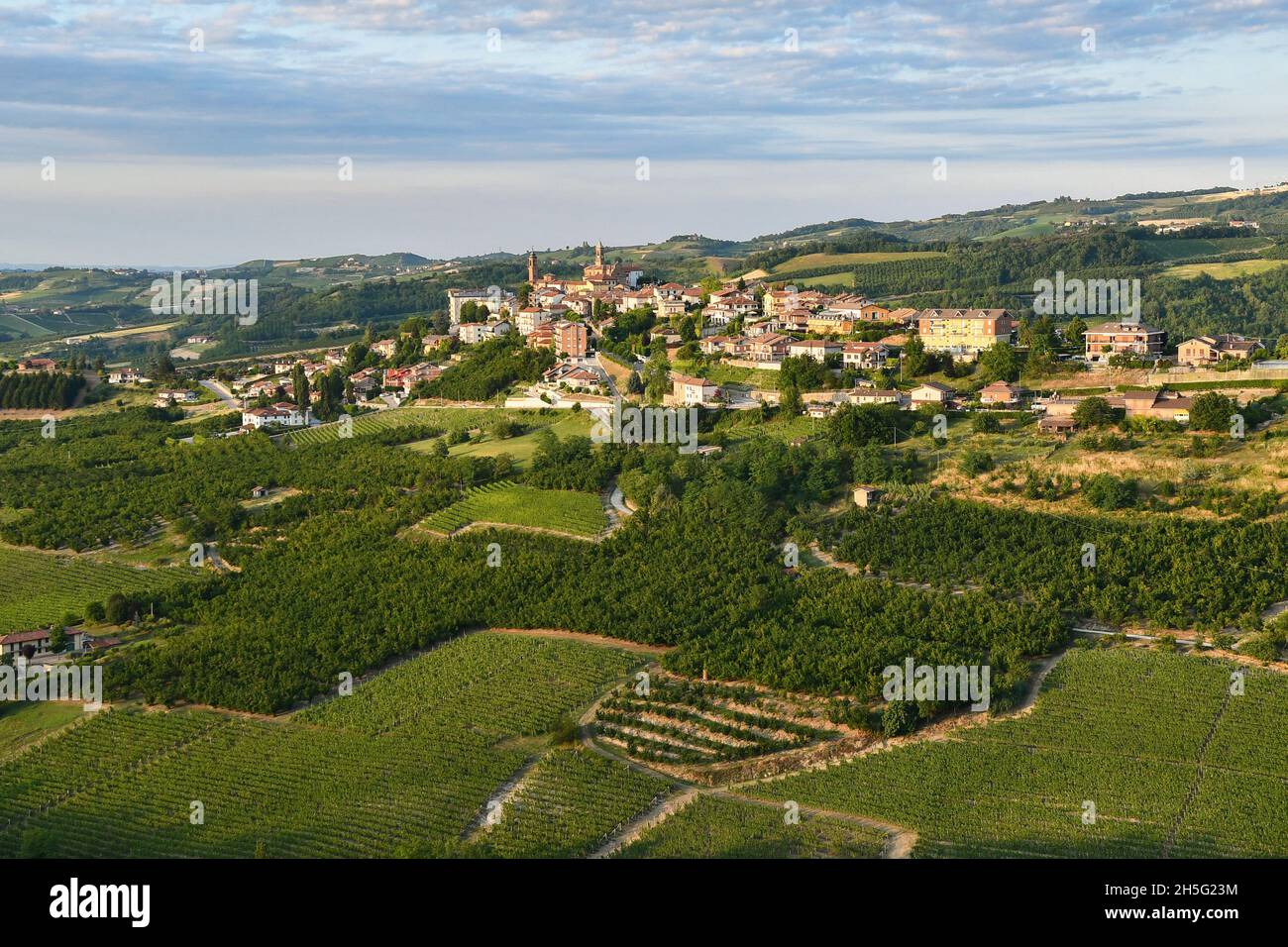 View of the village of Rodello on the vineyard hills of the Langhe area, Unesco World Heritage Site, in summer at sunset, Cuneo, Piedmont, Italy Stock Photo