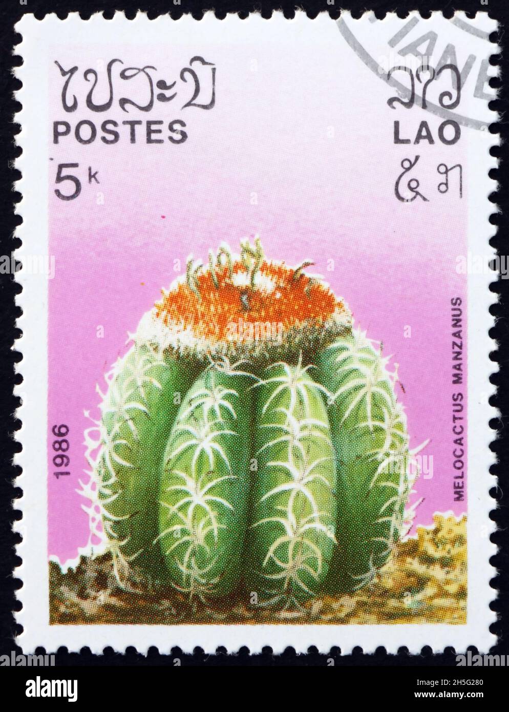 LAOS - CIRCA 1986: a stamp printed in Laos shows dwarf Turks-cap cactus (melocactus matanzanus), is a cactus native to the north-central area od Cuba, Stock Photo