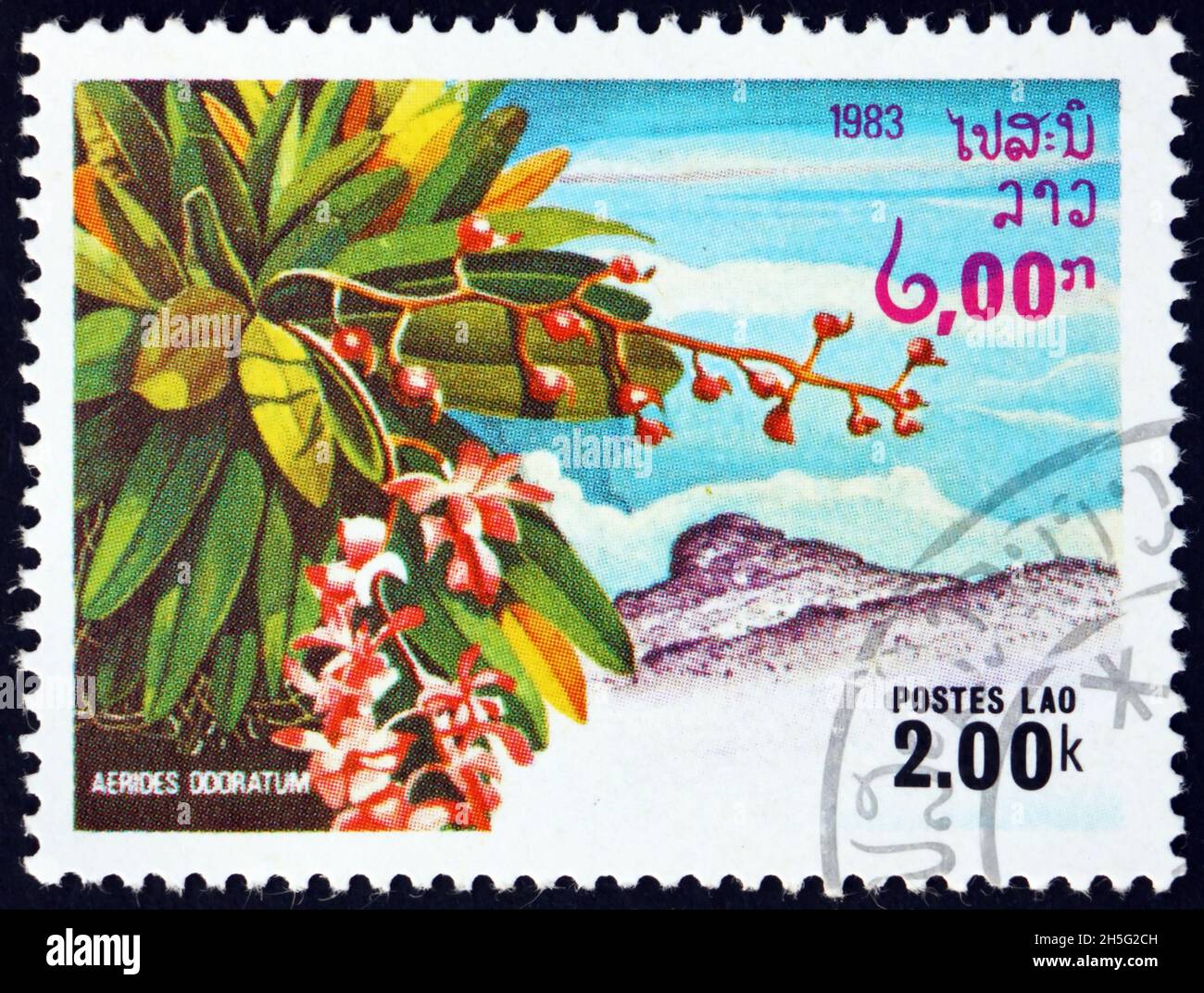 LAOS - CIRCA 1983: a stamp printed in Laos shows aerides odorata, orchid native to Southeast Asia, circa 1983 Stock Photo