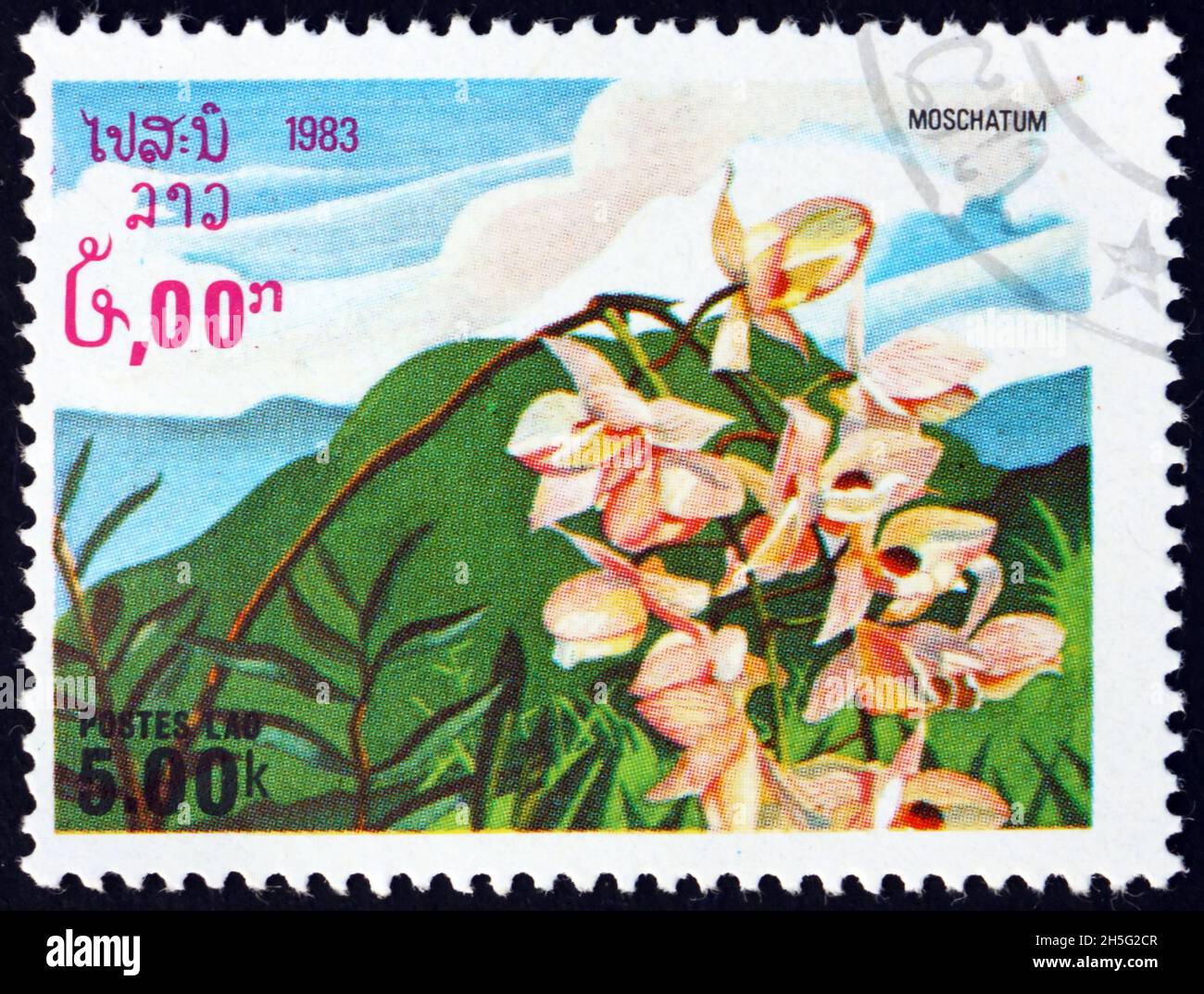 LAOS - CIRCA 1983: a stamp printed in Laos shows the musky-smelling dendrobium, dendrobium moschatum, is a species of orchid native to Himalayas, circ Stock Photo