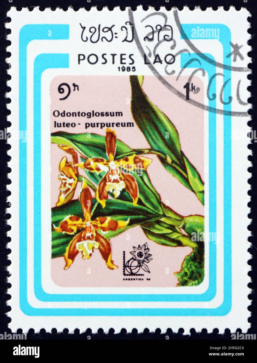 LAOS - CIRCA 1985: a stamp printed in Laos shows odontoglossum luteopurpureum, is a species of orchid endemic to Colombia, circa 1985 Stock Photo