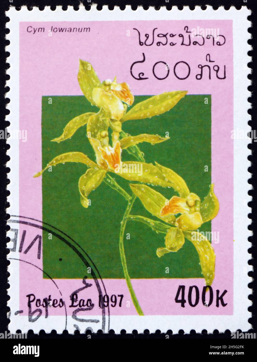 LAOS - CIRCA 1997: a stamp printed in Laos shows Lows cymbidium, cymbidium lowianum, is a species of evergreen flowering plants in the orchid family, Stock Photo