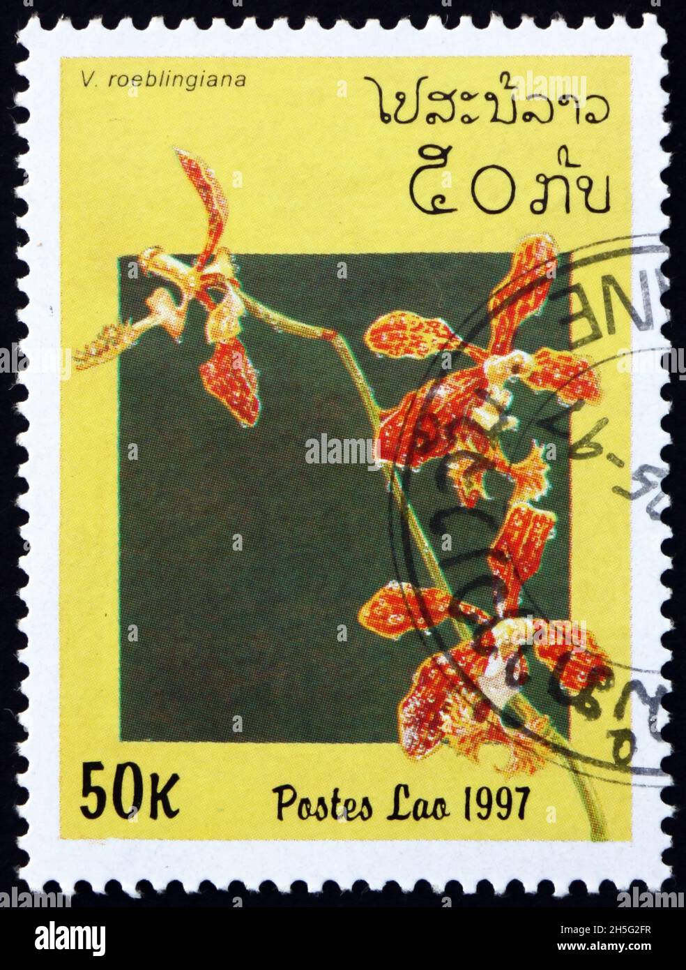 LAOS - CIRCA 1997: a stamp printed in Laos shows Roebelens vanda, vanda roeblingiana, is a species of orchid endemic to the mountain provinces of the Stock Photo