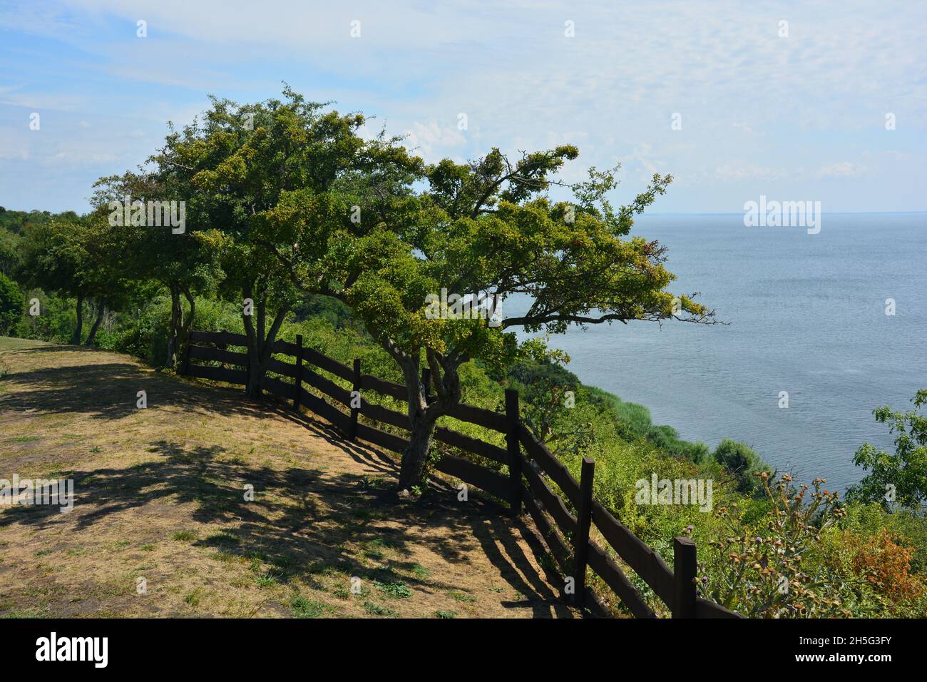 Beautiful high angle closeup of trees on the cliff line in Wolinski National park in Polland Stock Photo