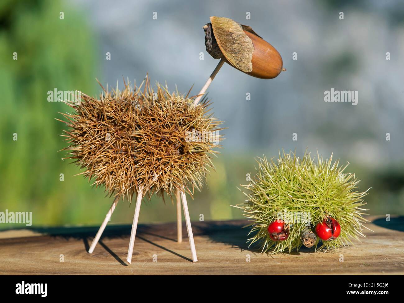 Sheep and hedgehook, funny animal figures made from chestnut shells and oak acorns in autumn time, Switzerland Stock Photo