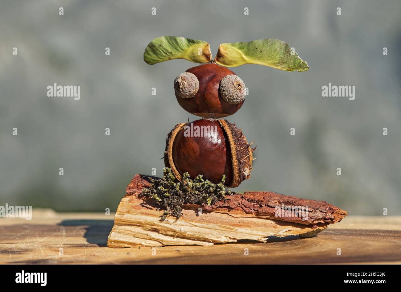 Owl, funny animal figure made from chestnuts and oak acorns in autumn time, Switzerland Stock Photo