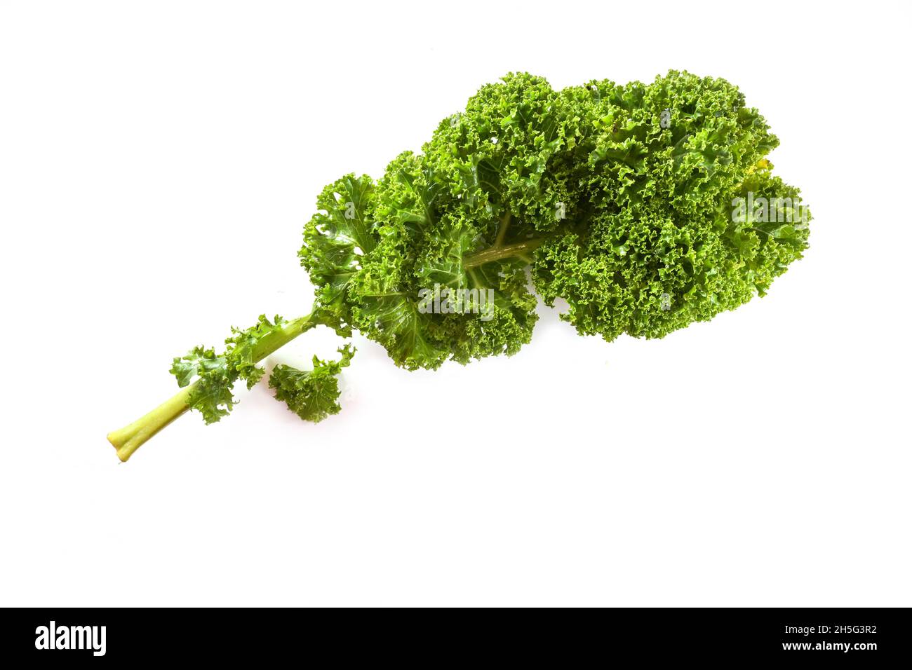 Kale or green leaf cabbage, whole curly leaf isolated on a white background, healthy winter vegetable rich in vitamins, copy space, selected focus Stock Photo