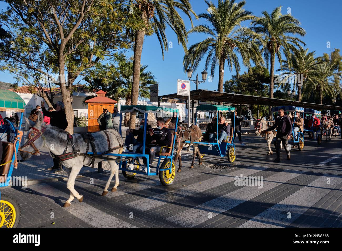 Donkeys - Burro Taxi with carriages, Mijas Pueblo, Malaga province, Andalusia, Spain. Stock Photo