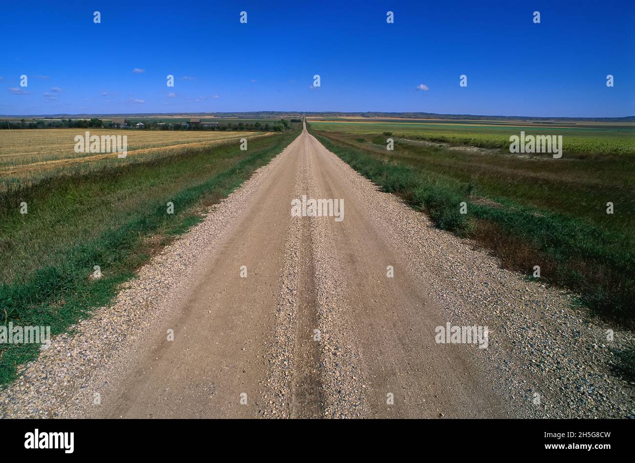 Rural Road near Arcola, Saskatchewan, Canada Stock Photo