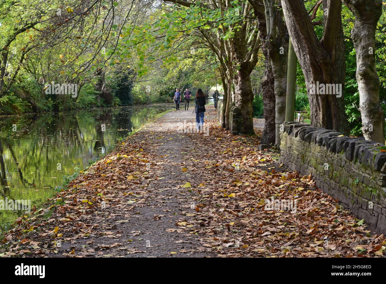 Walkers on the canal in Autumn sunshine, Leeds and Liverpool canal Saltaire, Shipley Stock Photo