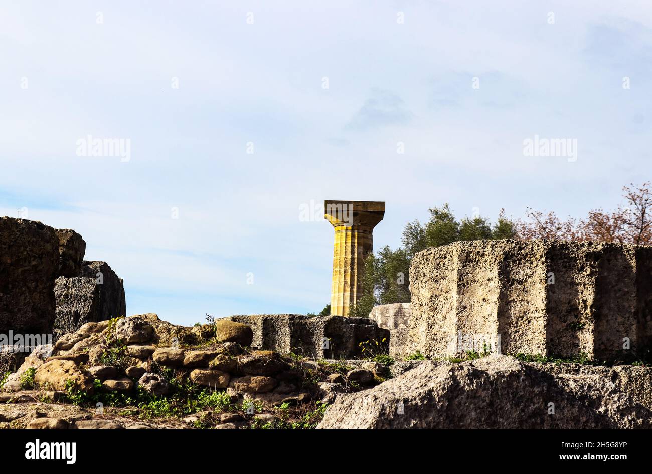 Fallen columns with weeds and wildflowers at Ancient Corinth in Greece with one remaining column of the Temple of Zeus in the background Stock Photo