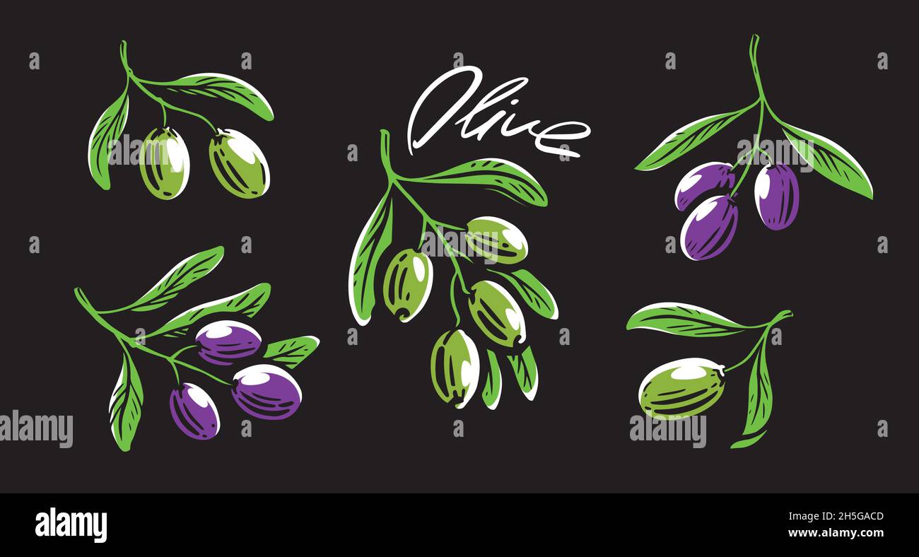 Hand drawn olive branch on black background Stock Vector Image & Art ...