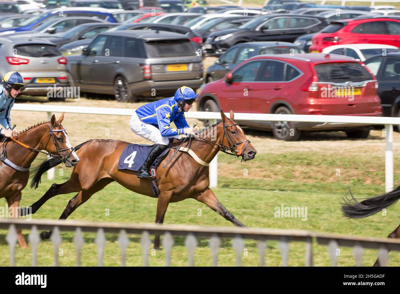Side view of male jockey riding racehorse in action at Worcester racecourse, UK, locally known as Pitchcroft. Stock Photo
