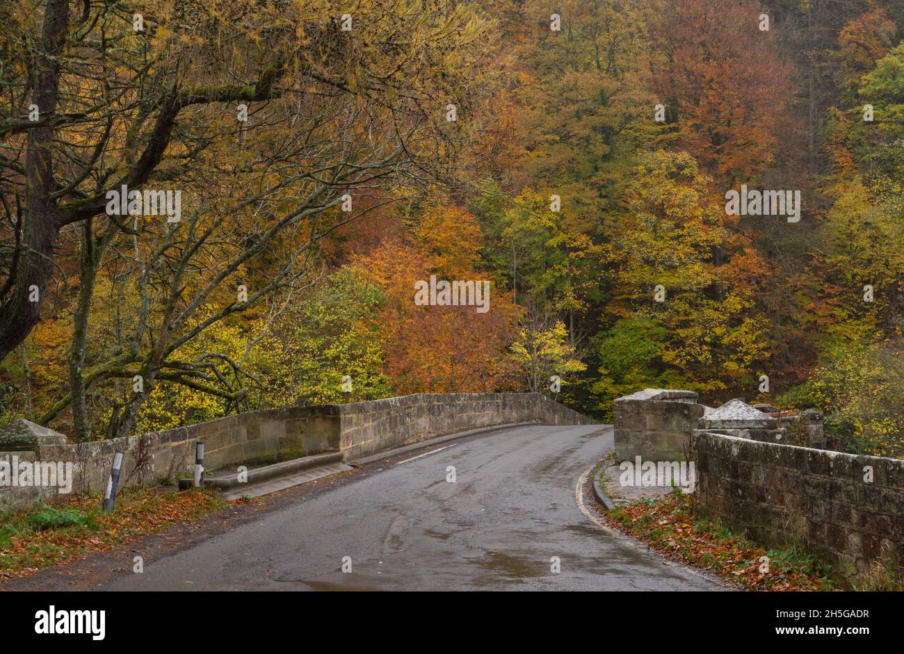Cupola bridge, Whitfield, Northumberland, UK Stock Photo Alamy