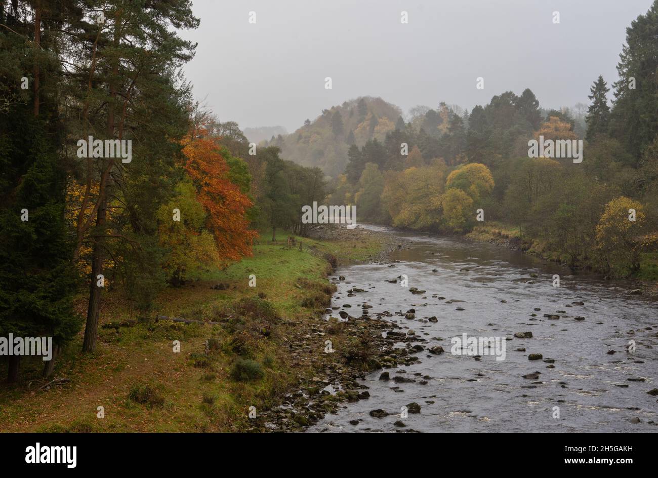 The River Allen at Whitfield in Northumberland Stock Photo Alamy