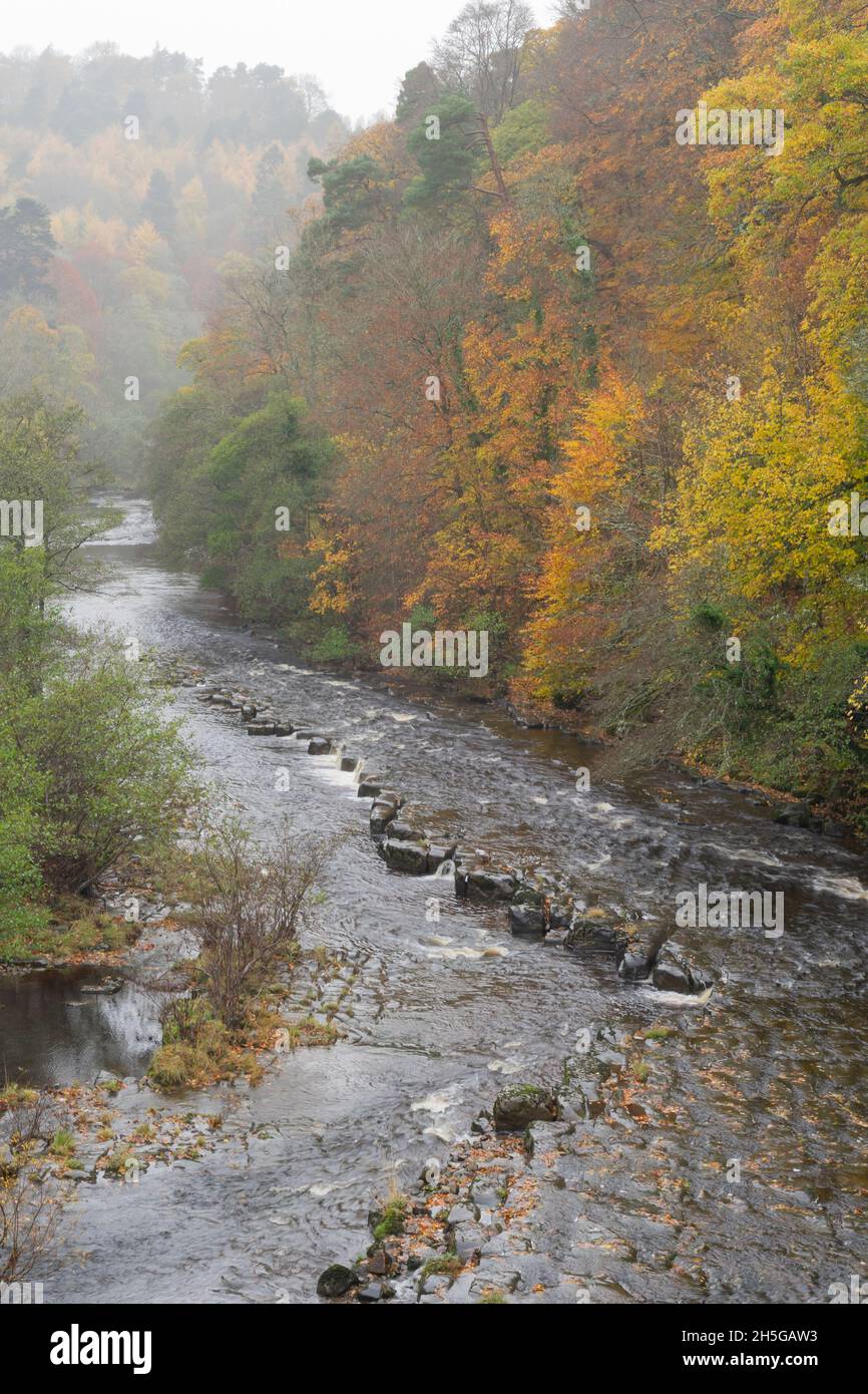 The River Allen at Whitfield in Northumberland Stock Photo Alamy
