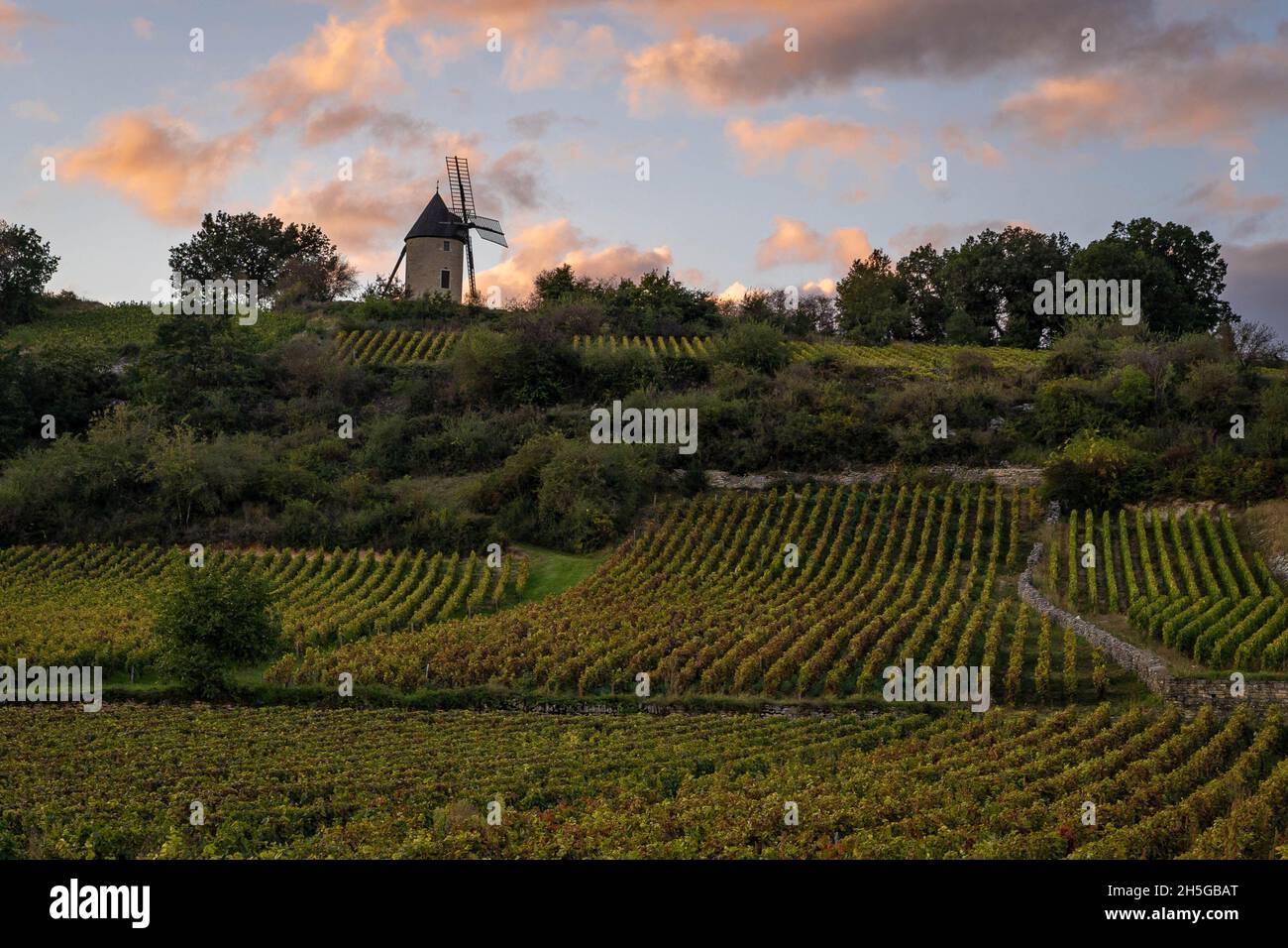 The Burgundy village of Santenay Stock Photo