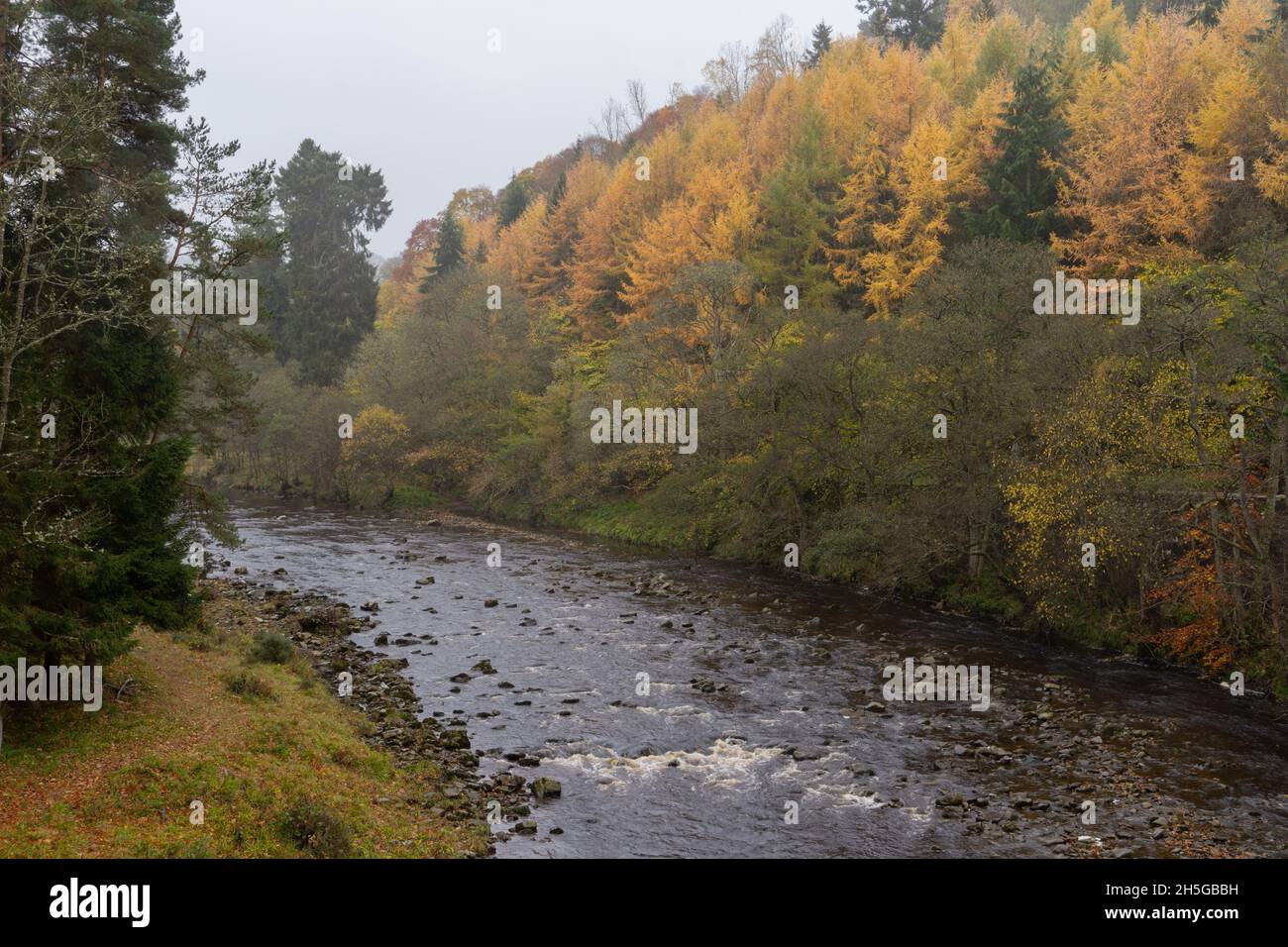River Allen at Whitfield, Northumberland Stock Photo Alamy