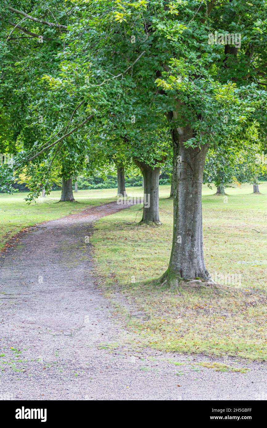 Empty narrow path through hi-res stock photography and images - Alamy