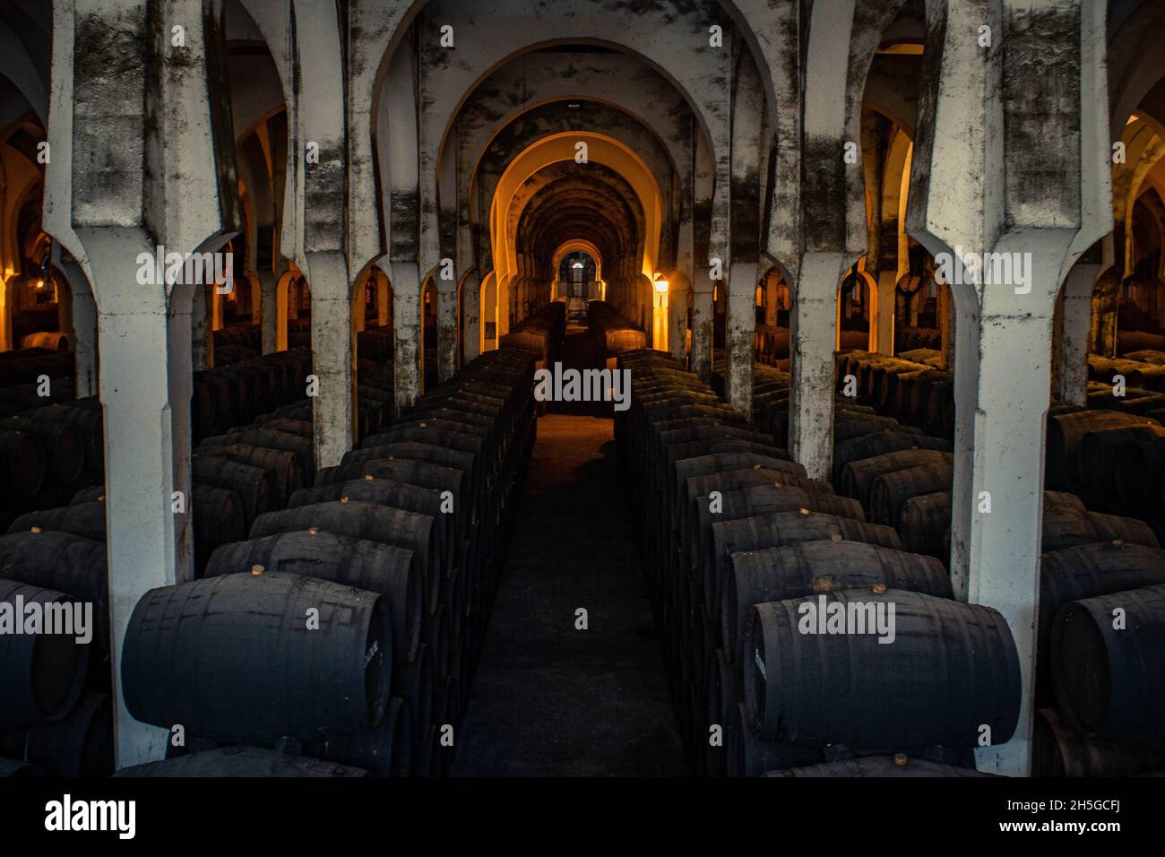 Bodega la Mezquita, in Jerez de la Frontera, Cadiz, Spain. Old cellar to store wine barrels of sherry wine (Jerez). Stock Photo