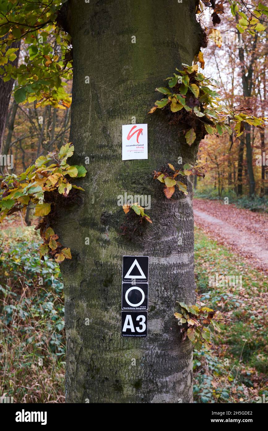 Hinweisschilder fuer Wander- und Reitwege Stock Photo