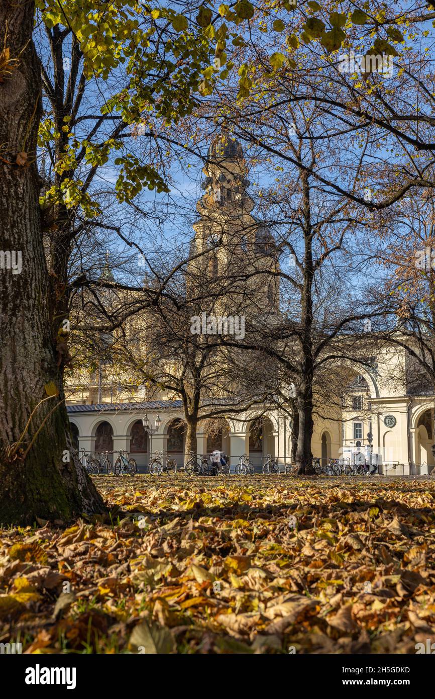 Munich: Church of Theatine (Theatiner Kirche) from the Hofgarten park in late autumn. Stock Photo