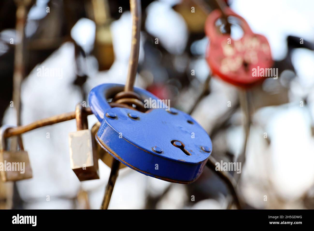 Padlocks in heart shape. Locks hanging in a park, symbol of eternal love Stock Photo