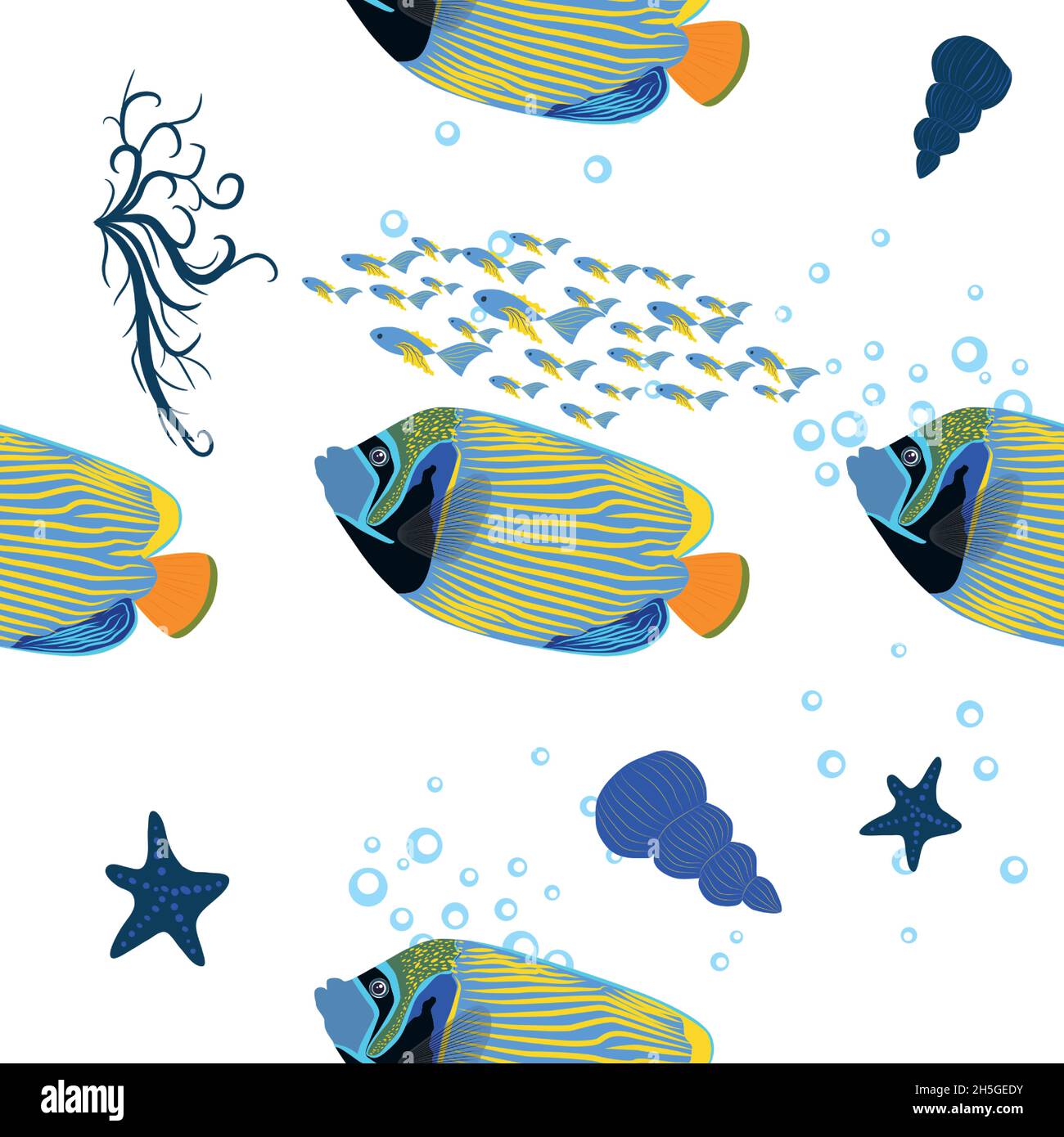 Emperor angelfish, Pomacanthus imperator seamless patterns, sea animal wildlife character. Nature underwater, marine wild ocean zoo fish Stock Vector