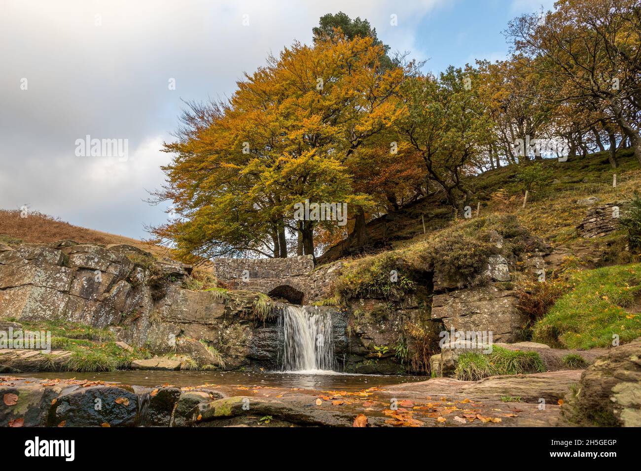 Water flows into a pool at Three Shires Head during the autumn where the counties of Staffordshire, Cheshire and Derbyshire meet, surrounded by fallen Stock Photo