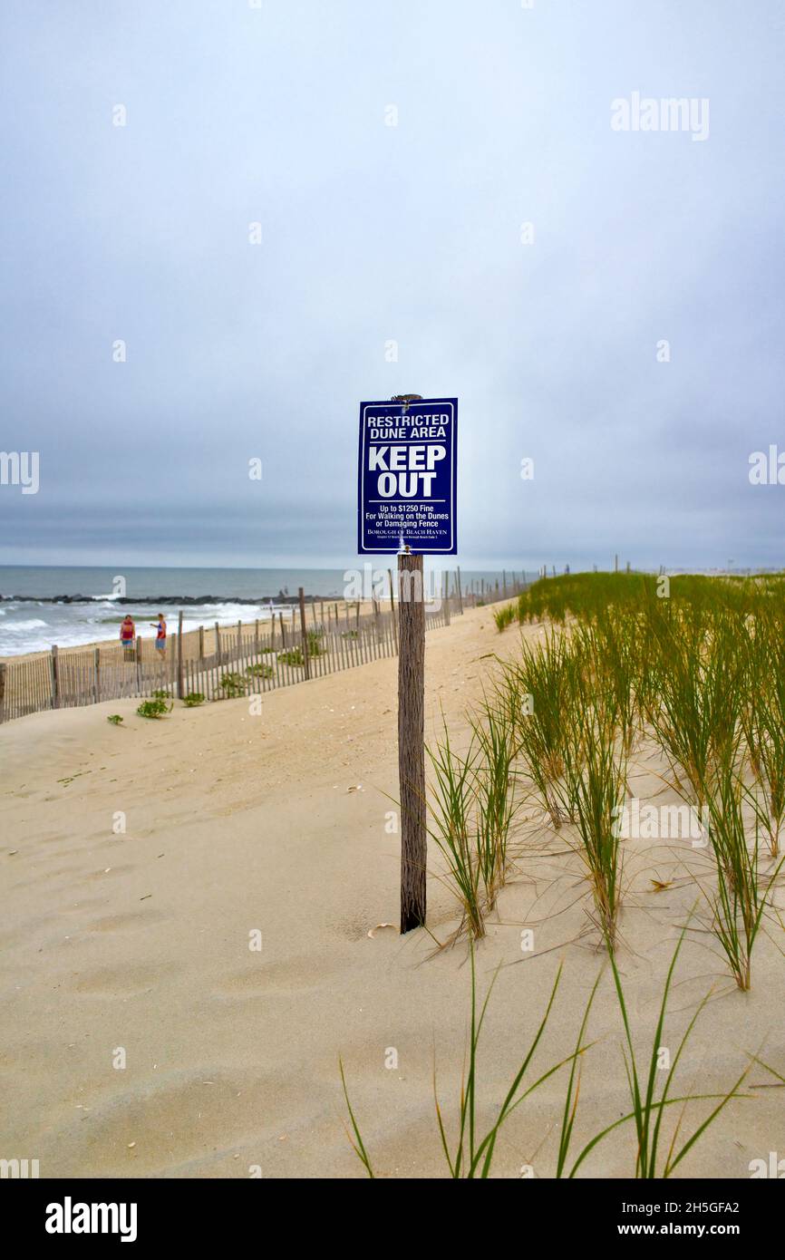 “Keep Out” Restricted Dune Area posted in front of wooden beach or Dune Fence protects dune in Long Beach Island, NJ, USA. Dune grass Stock Photo