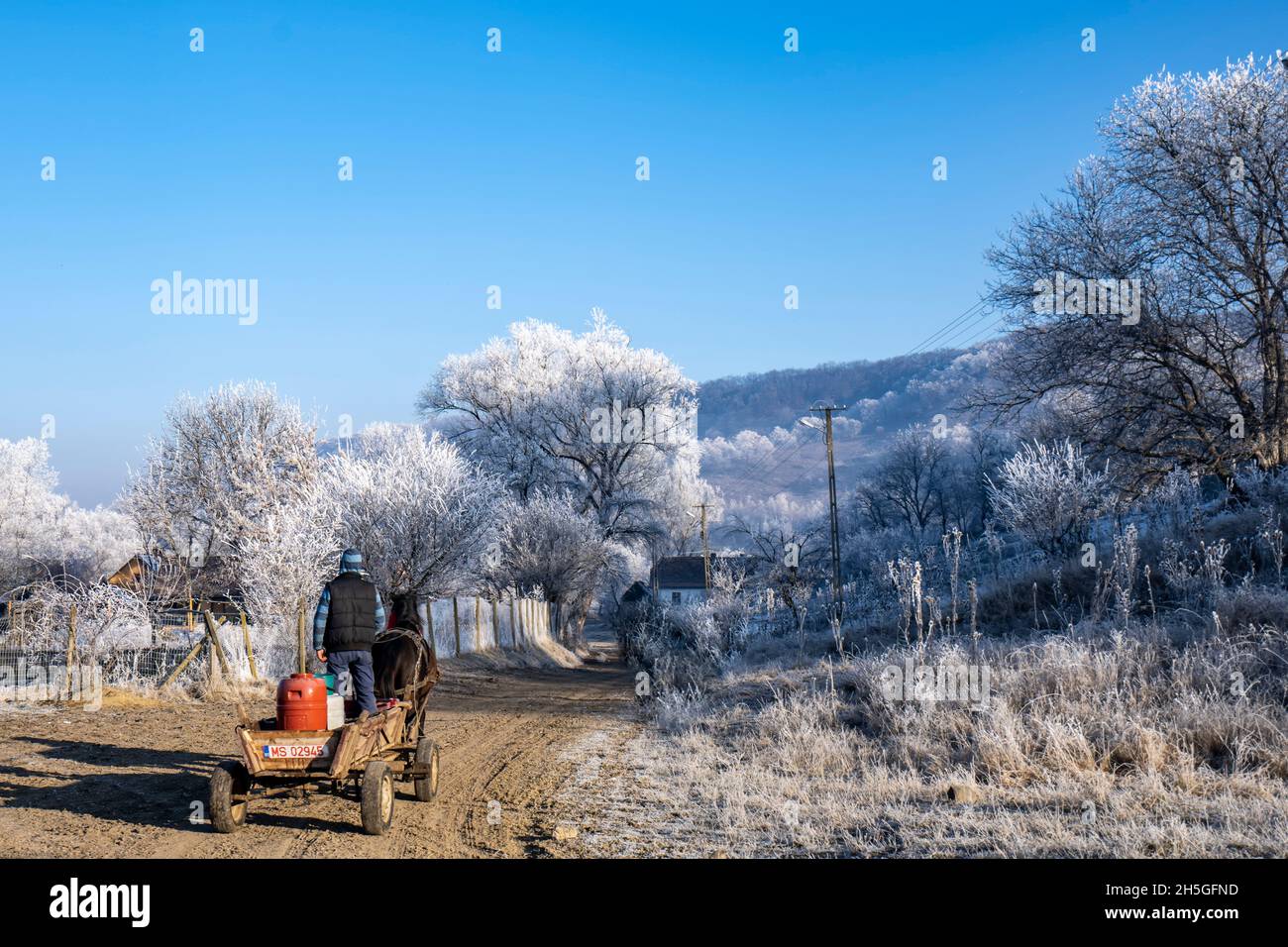 Man transporting goods with a horse pulling a wagon; Cund, Transylvania, Romania Stock Photo