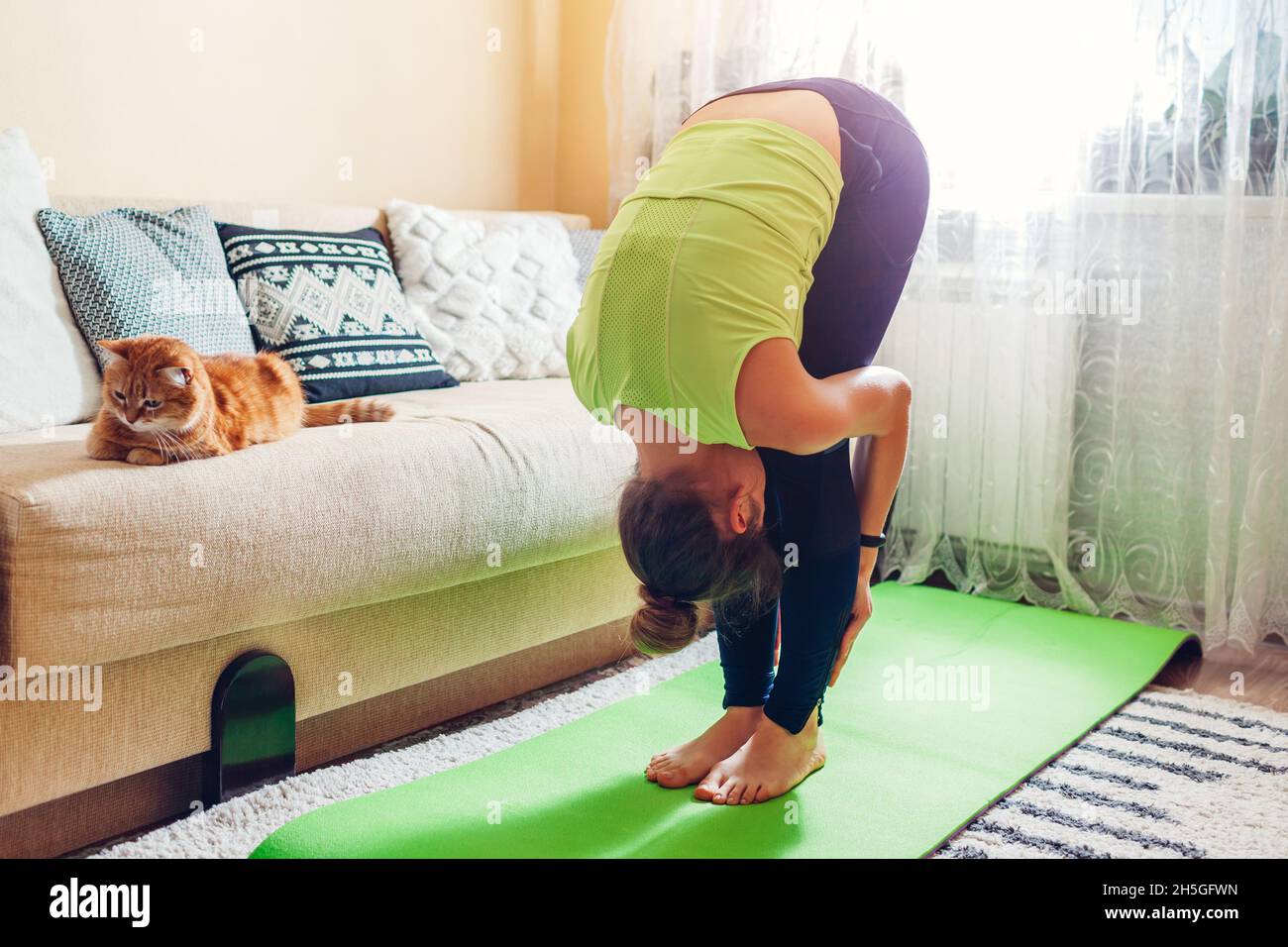 Home yoga workout during coronavirus lockdown. Uttanasana standing forward bend pose. Woman training using mat by cat. Stretching exercises Stock Photo